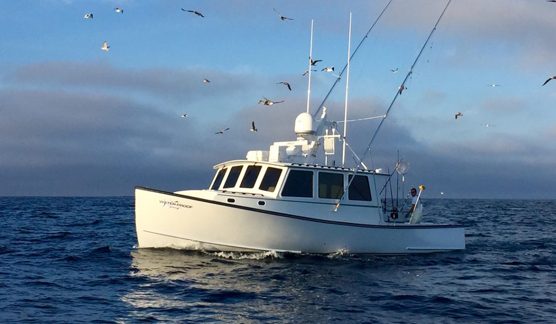 Photo of Water Proof boat on water