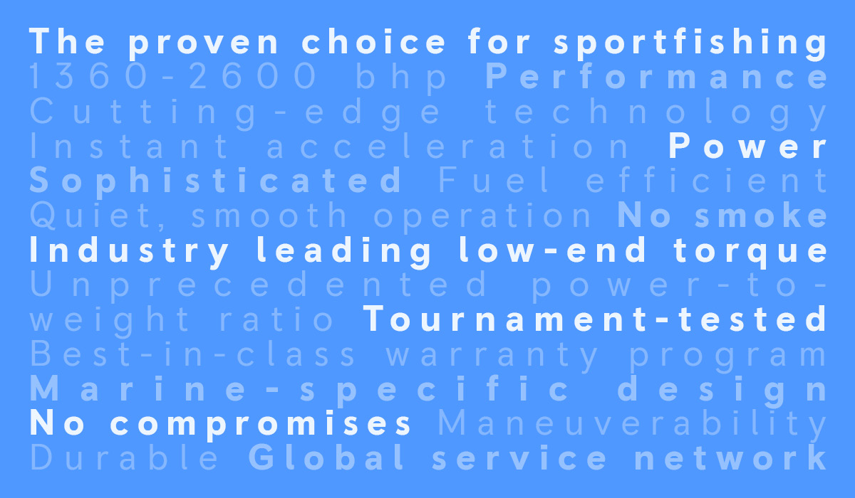 Image of MTU Word Cloud
