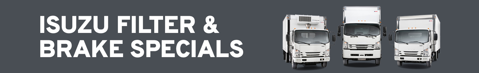 Banner graphic for Isuzu Filter & Brake Specials